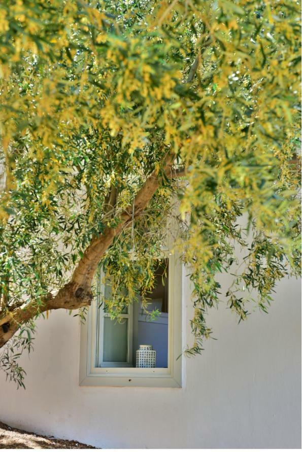 شقة Douskos Beach House هيدرا المظهر الخارجي الصورة
